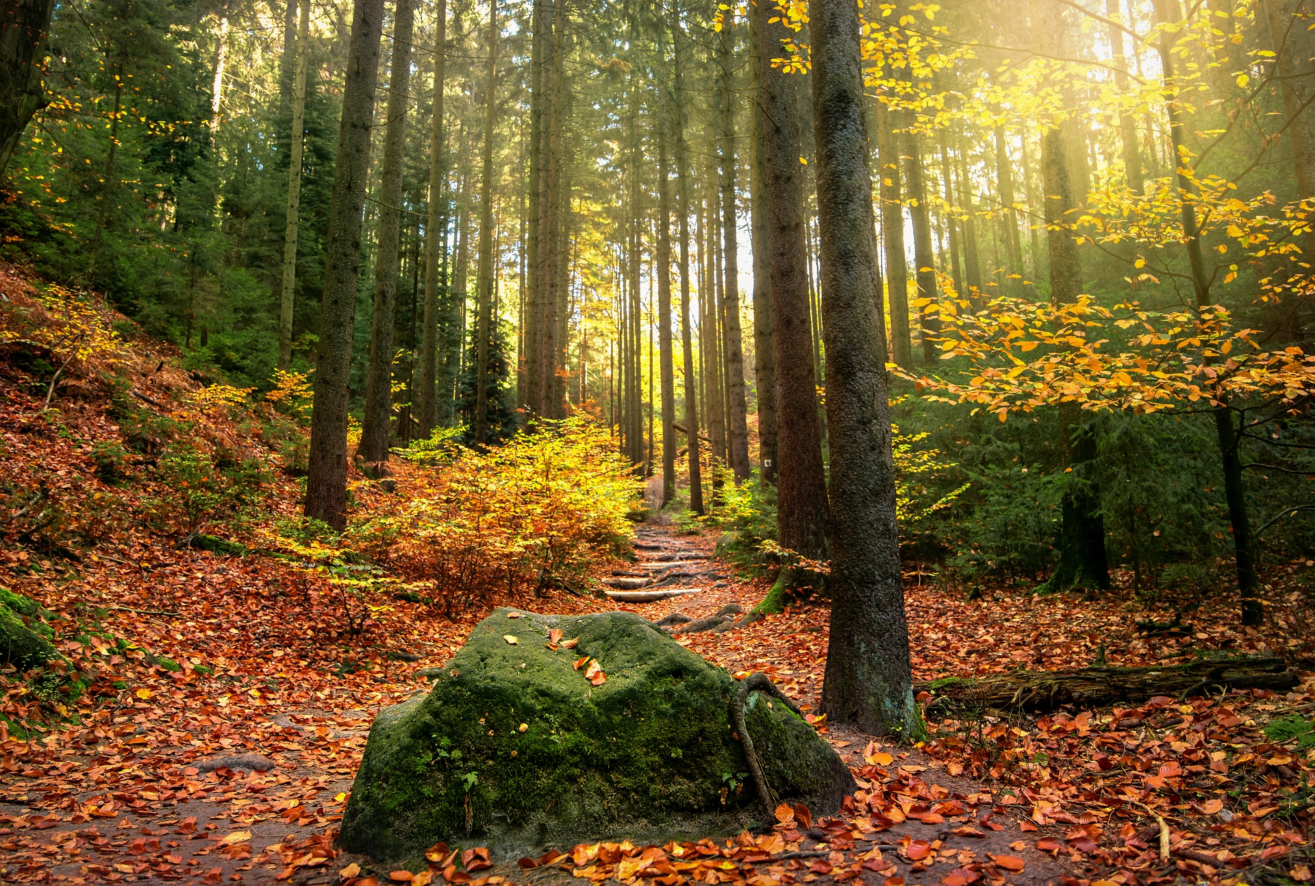 Nationalpark Nationalpark